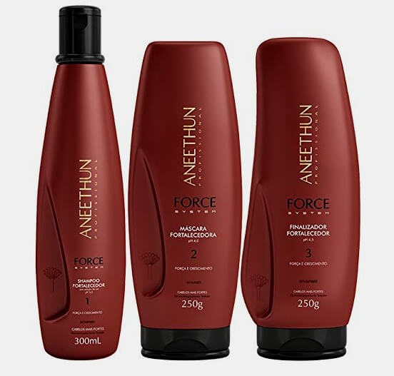 Kit Shampoo 300ml + Máscara 250ml + Finalizador 250g Force System Aneethun