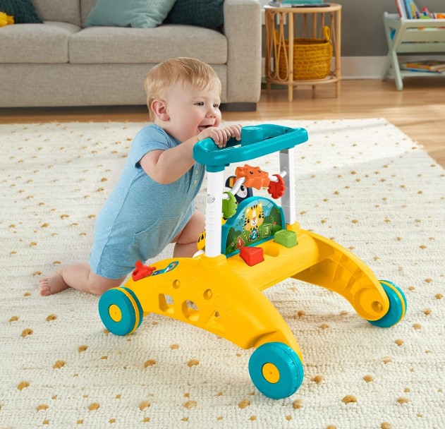 Andador Primeiros Passos Fisher Price