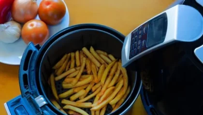 Melhores Marcas de Fritadeiras Elétricas