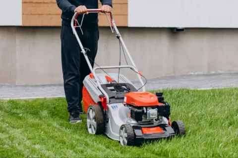 Melhores Cortadores de Grama Elétricos