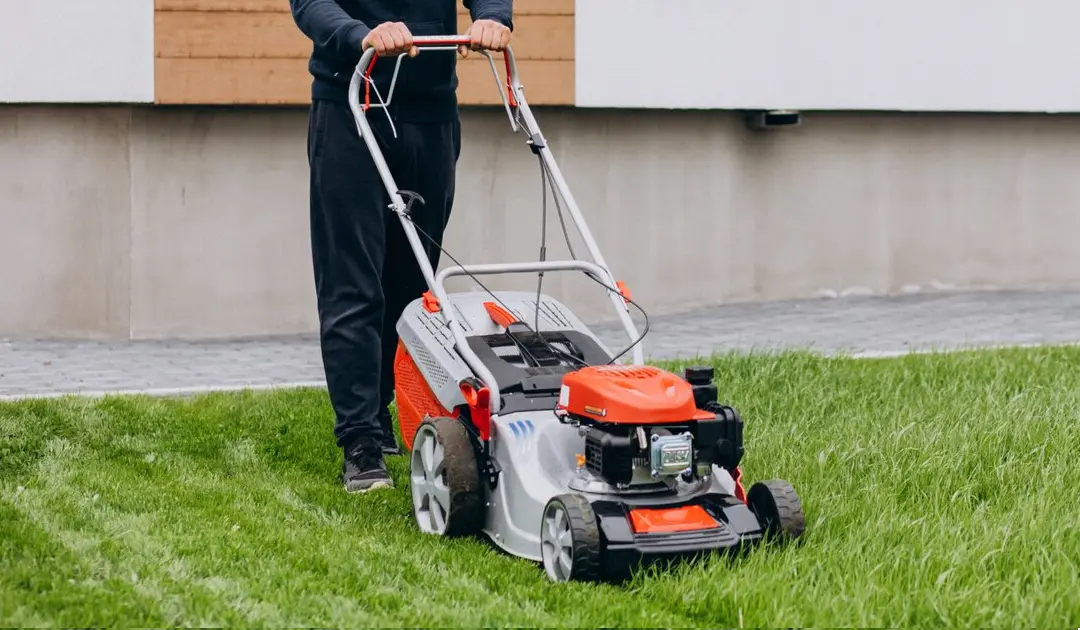 Melhores Cortadores de Grama Elétricos