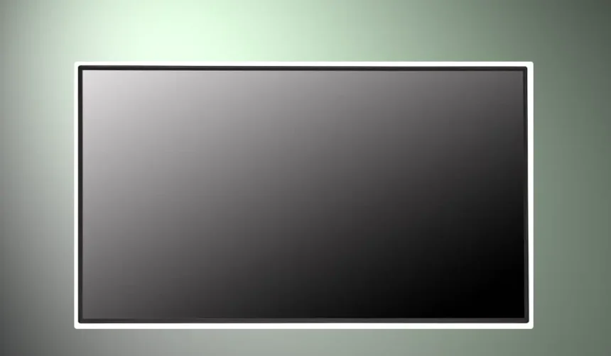 Monitor Profissional LG Stand Alone