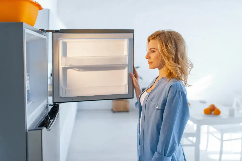 O Que a Melhor Geladeira Electrolux Frost Free Precisa Ter?